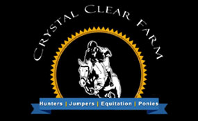 Mental Skills Workshop for Crystal Clear Farm